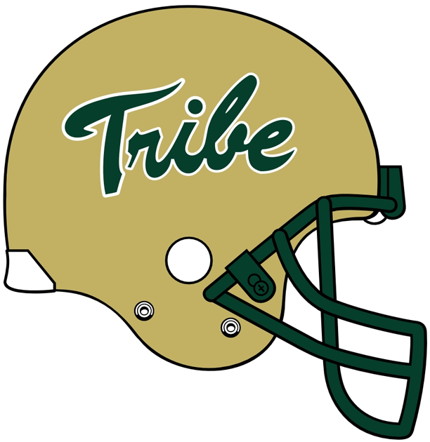 William and Mary Tribe 2009-Pres Helmet Logo diy iron on heat transfer